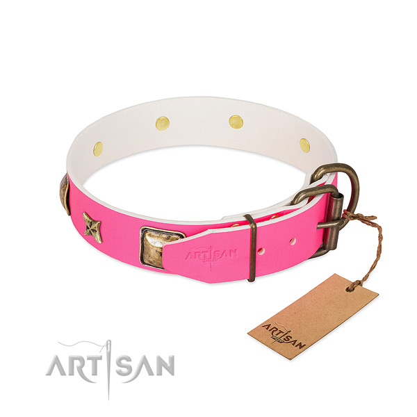 Strong fittings on leather collar for stylish walking your doggie