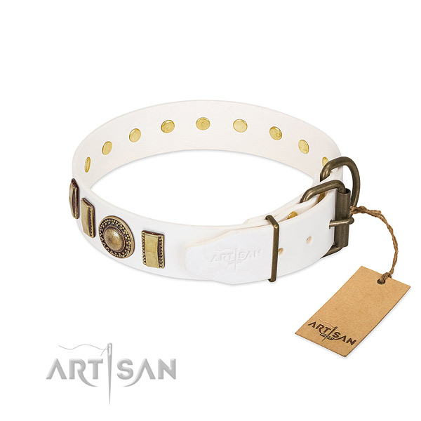 Top notch genuine leather dog collar made for your canine