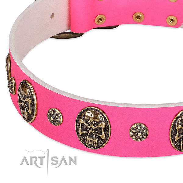 Remarkable dog collar handmade for your lovely pet