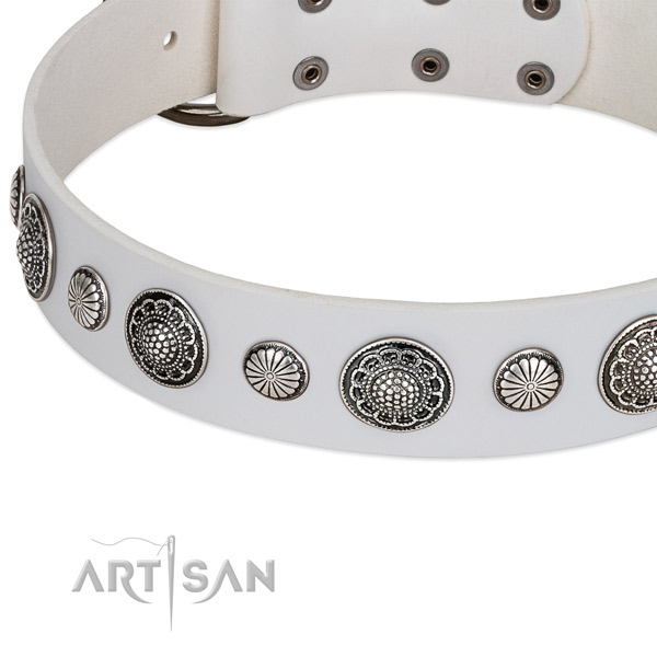 Full grain natural leather collar with durable buckle for your beautiful doggie