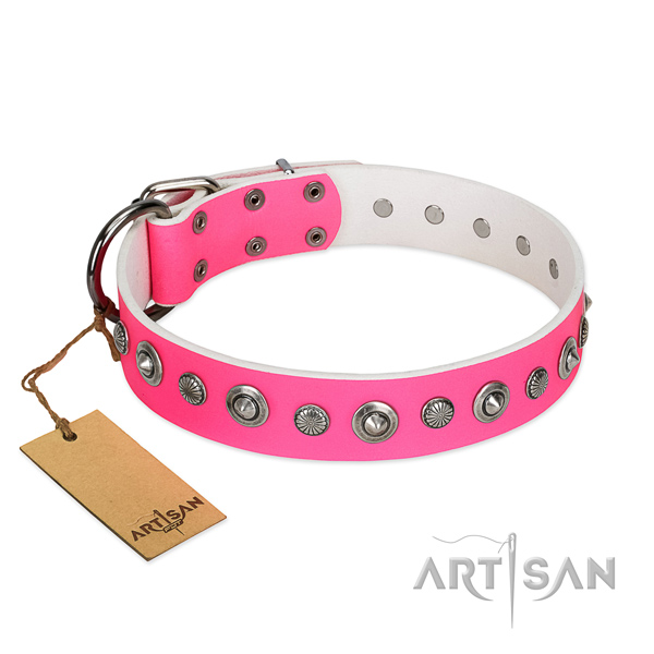 Fine quality full grain natural leather dog collar with stunning embellishments