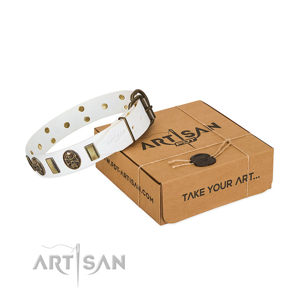 Reliable traditional buckle on leather dog collar for stylish walking