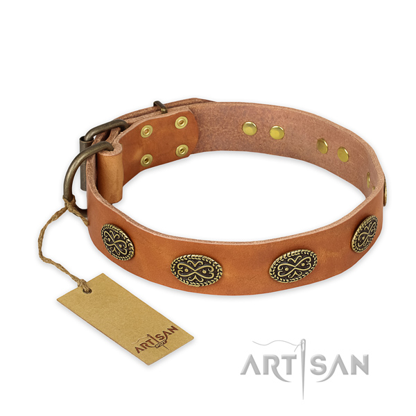 Stylish design leather dog collar with rust resistant fittings