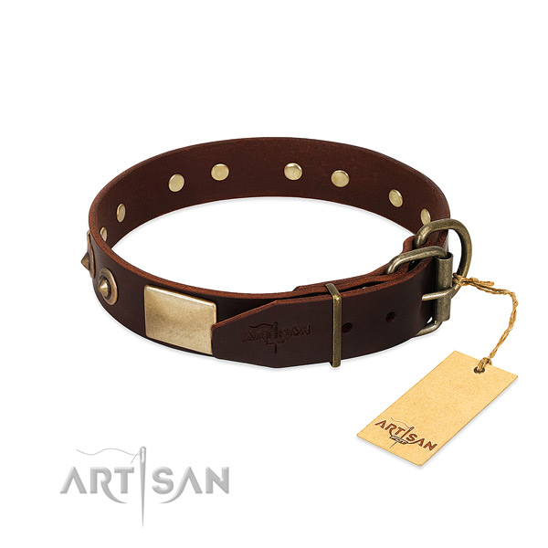Corrosion resistant hardware on everyday walking dog collar