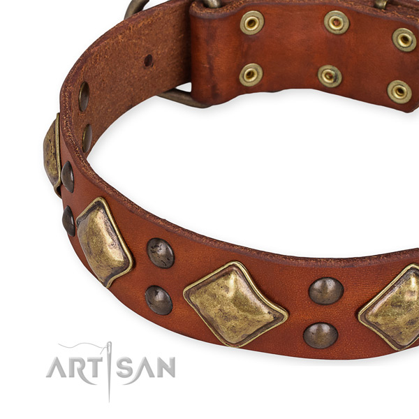 Full grain natural leather collar with corrosion resistant traditional buckle for your handsome canine