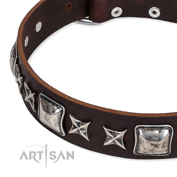 Comfortable wearing studded dog collar of top notch full grain genuine leather