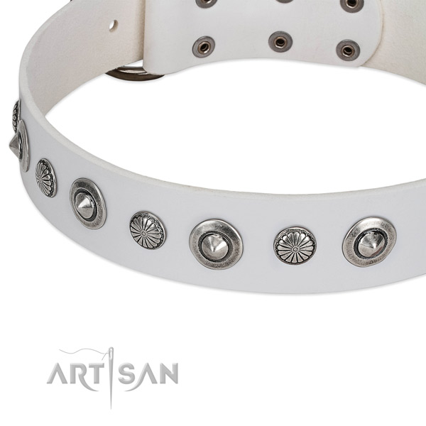 Full grain natural leather collar with reliable fittings for your handsome doggie