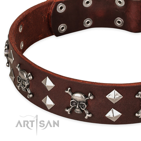 Walking decorated dog collar of fine quality natural leather