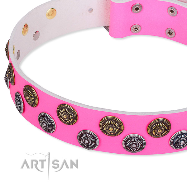 Comfy wearing adorned dog collar of durable full grain natural leather