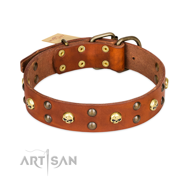 Daily walking dog collar of strong leather with embellishments