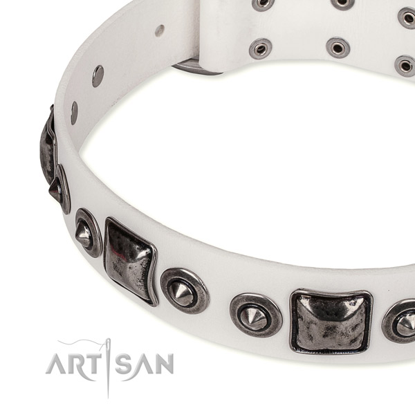 Flexible full grain natural leather dog collar handmade for your lovely canine