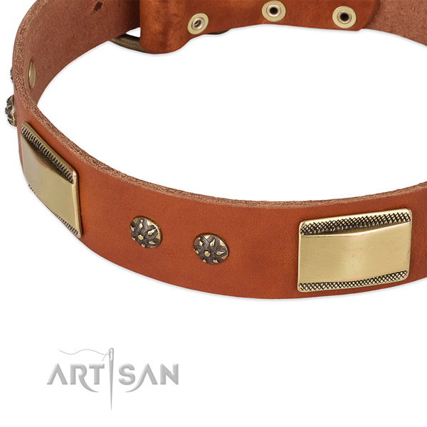 Rust resistant adornments on natural genuine leather dog collar for your pet