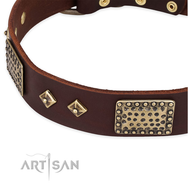 Rust-proof embellishments on leather dog collar for your doggie