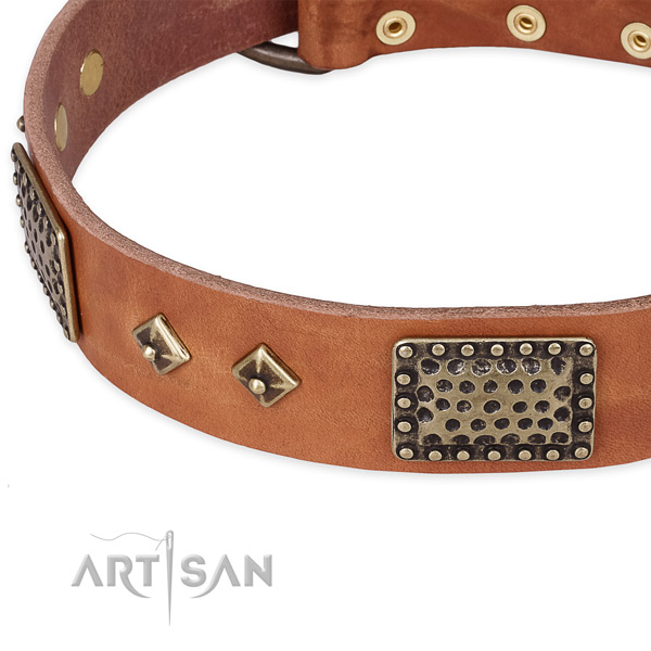 Rust resistant decorations on full grain genuine leather dog collar for your dog