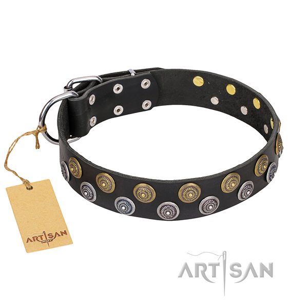 Walking dog collar of high quality full grain genuine leather with embellishments