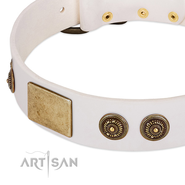 Exquisite dog collar handcrafted for your beautiful four-legged friend