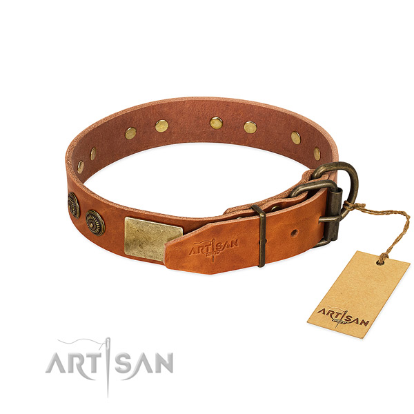 Corrosion resistant D-ring on genuine leather collar for daily walking your canine