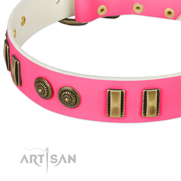 Durable embellishments on full grain leather dog collar for your dog