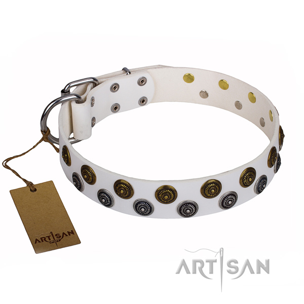 Walking dog collar of high quality leather with embellishments