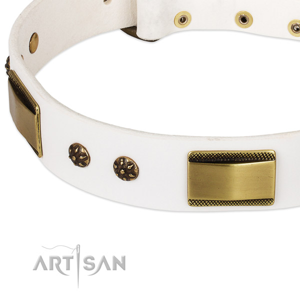 Rust resistant adornments on full grain natural leather dog collar for your four-legged friend