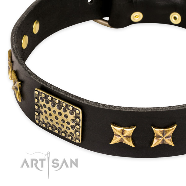Full grain natural leather collar with durable traditional buckle for your handsome dog