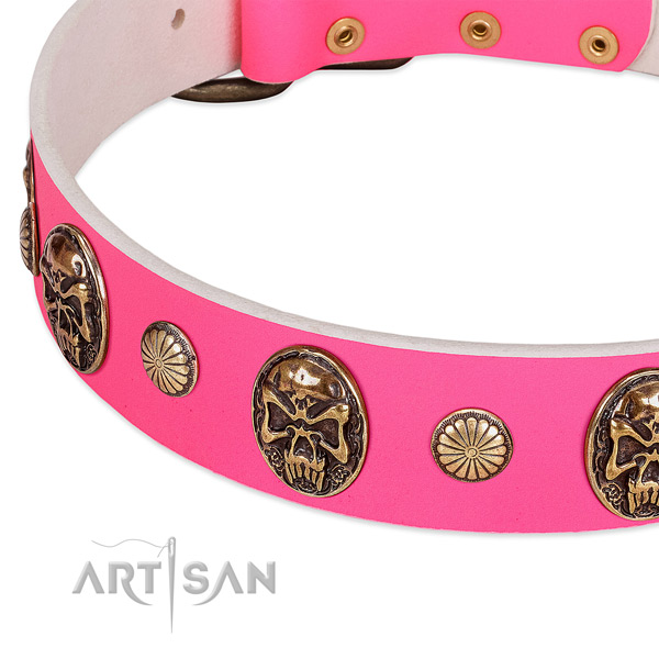 Rust-proof buckle on leather dog collar for your dog