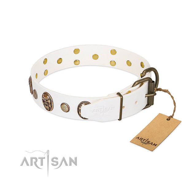 Rust resistant fittings on genuine leather collar for everyday walking your pet