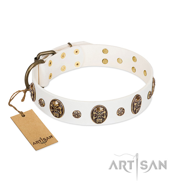 Top quality leather collar for your doggie