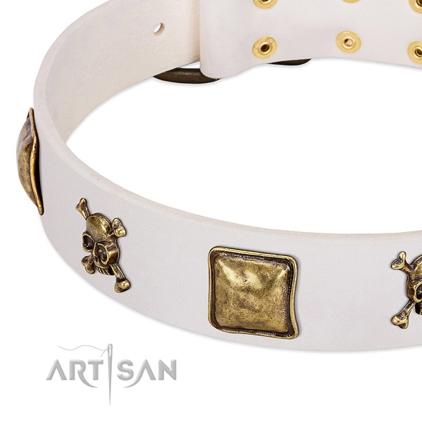 Everyday walking natural leather dog collar with exceptional adornments