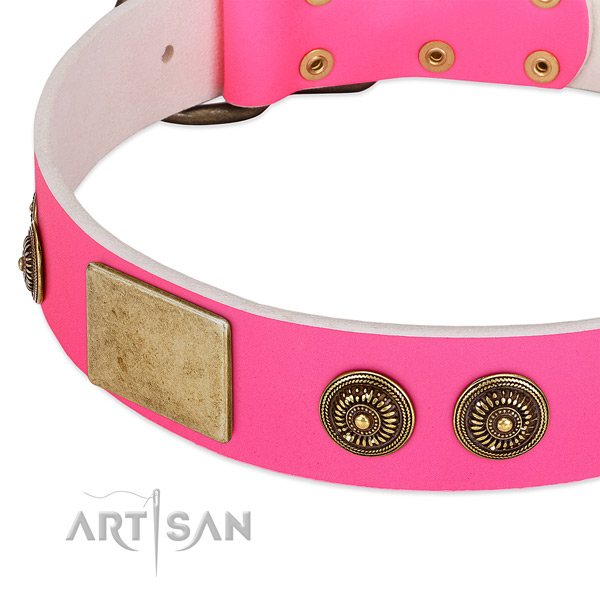 Top quality dog collar created for your impressive four-legged friend