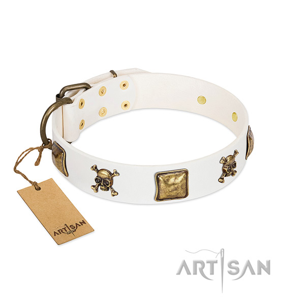 Stylish walking top notch full grain leather dog collar with embellishments