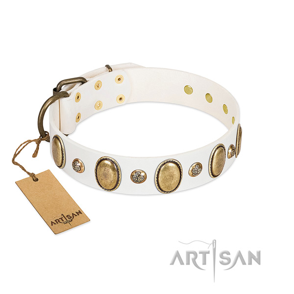 Genuine leather dog collar of flexible material with fashionable adornments