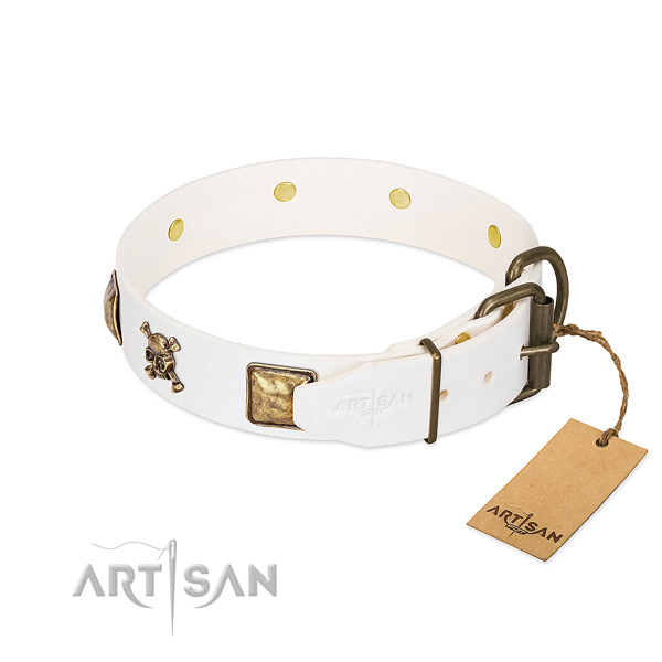 Daily use genuine leather dog collar with awesome decorations