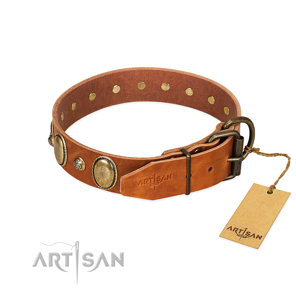 Everyday walking full grain genuine leather dog collar