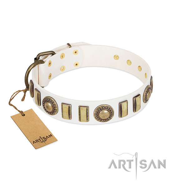 Embellished natural leather dog collar with durable hardware