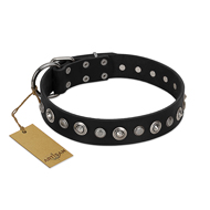 "Genteel Charm" FDT Artisan Black Leather Labrador Collar with Silver-like Round Conchos