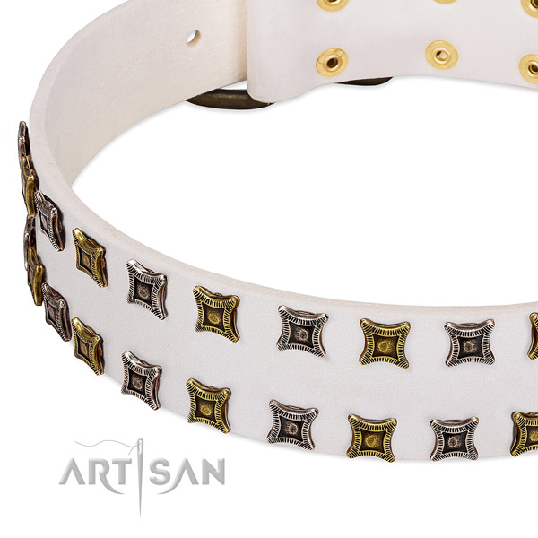 Leather dog collar with studs for your stylish canine
