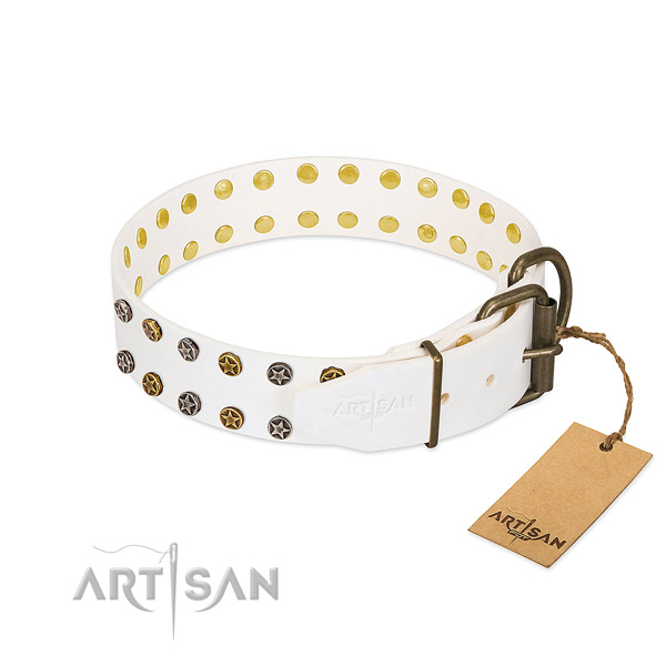 Incredible natural leather dog collar with corrosion proof studs