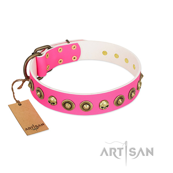 Designer natural leather dog collar with corrosion resistant decorations