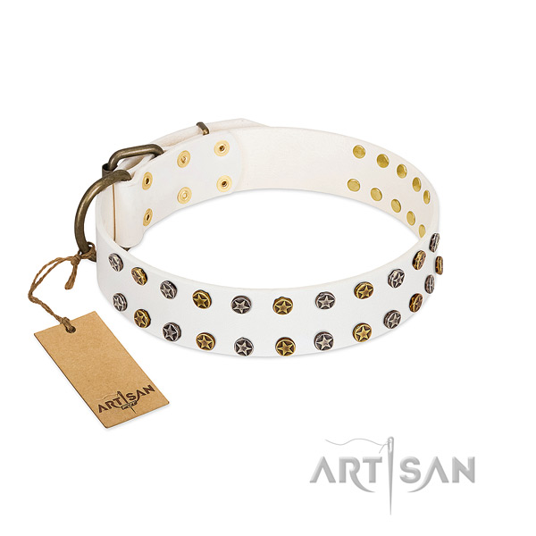 Exquisite natural leather dog collar with rust resistant embellishments