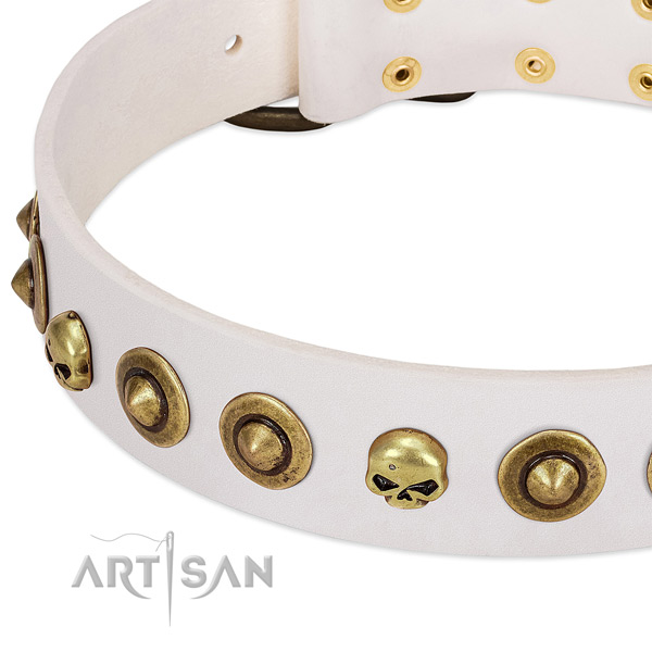 Stylish design embellishments on genuine leather collar for your pet