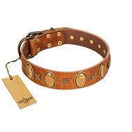 "Glossy Autumn" Designer Handmade FDT Artisan Tan Leather Labrador Collar with Ovals and Studs