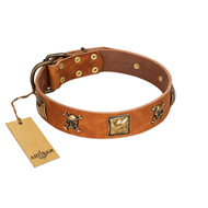 "Knights Templar" FDT Artisan Tan Leather Labrador Collar with Skulls and Crossbones Combined with Squares
