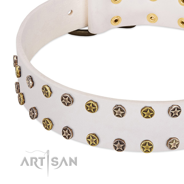 Incredible decorations on full grain leather collar for your canine