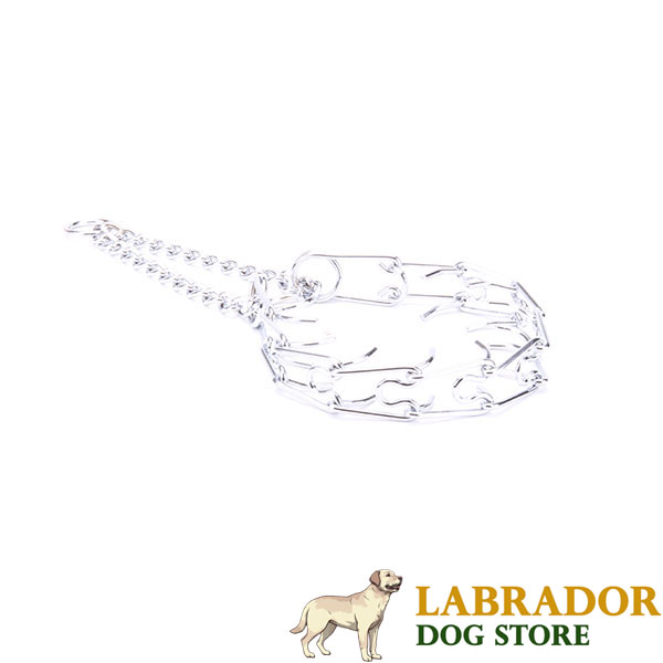 Chrome plated dog pinch collar for badly behaved dogs