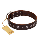"Stellar Fairy " FDT Artisan Brown Leather Labrador Collar with Chrome-plated Star-like Decorations