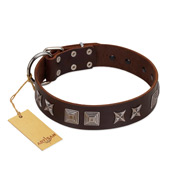 "Needle Stories" Modern FDT Artisan Brown Leather Labrador Collar with Square Engraved Plates and Four-Point Stars