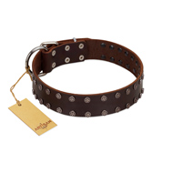 "Star Party" Handmade FDT Artisan Brown Leather Labrador Collar with Silver-Like Studs