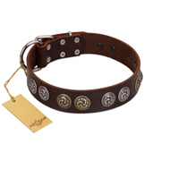 "Treasure Hunter" FDT Artisan Brown Leather Labrador Collar with Old-Bronze-like and Silvery Medallions