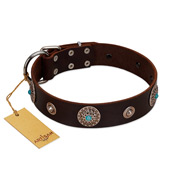 "Magic Stones" FDT Artisan Brown Leather Labrador Collar with Chrome Plated Brooches and Studs